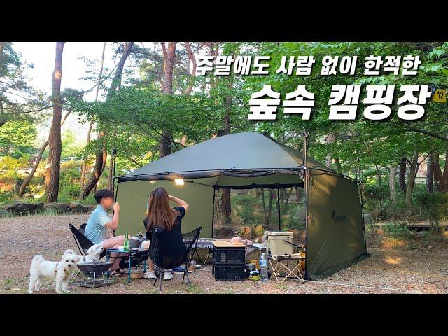 Camping in a Quiet Forest | Korean camping with puppies | Korean BBQ Mukbang