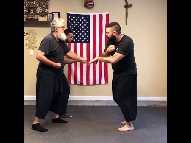 Silat Forearm Strikes/ multiple opponents