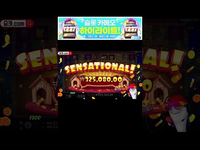 슬롯카메오 상어 개집3 신겜에서 150만원 냠냠! #슬롯머신 #슬롯 #프라그마틱 #잭팟 #slot #pragmatic