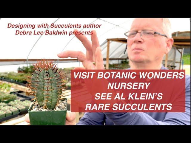 See Rare Succulents at Al Klein's Botanic Wonders Nursery