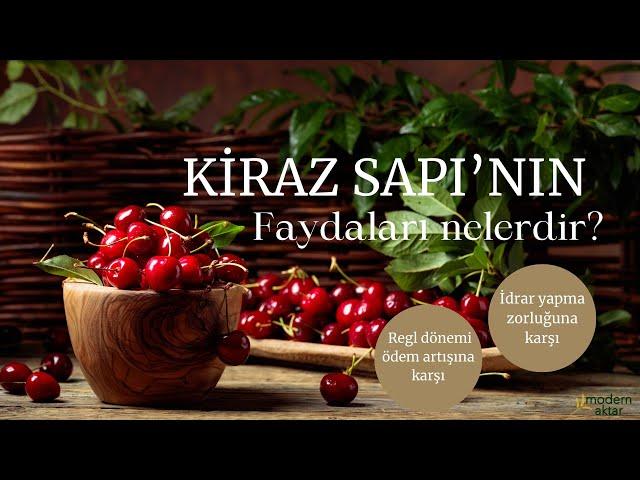 MODERN AKTAR KİRAZ SAPI|FAYDALARI NELERDİR?