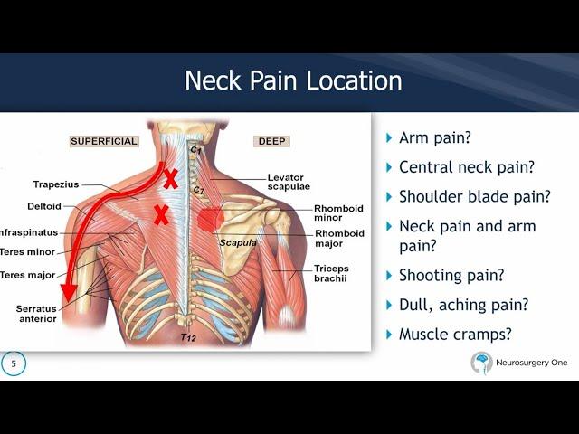 Neck Pain Causes and Treatments