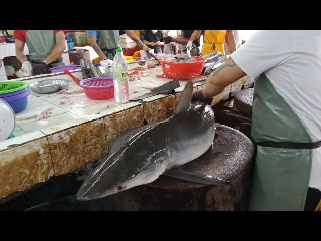 ikan jerung shark  शार्क मछली fish cutting skills in Penang Georgetown Malaysia 