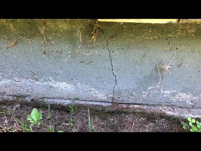 Seattle Home Inspectors | Inspector Kelen Lewis Shows Common Foundation Issue | (253) 244-3411 |