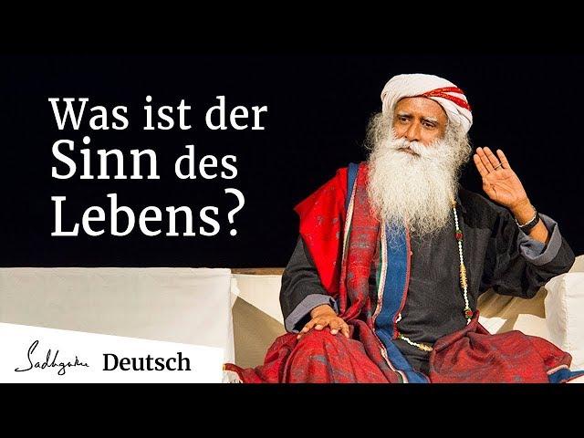 Was ist der Sinn des Lebens?