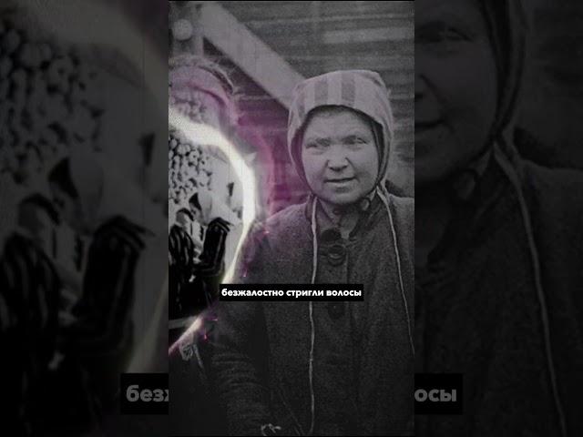 КАК ЖЕНЩИНЫ ВЫЖИВАЛИ В НЕМЕЦКОМ ПЛЕНУ? #shorts