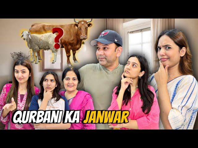 Qurbani ke liye konsa Janwar liya?|Toofan sai hua Ghar ka Nuksaan |Sistrology