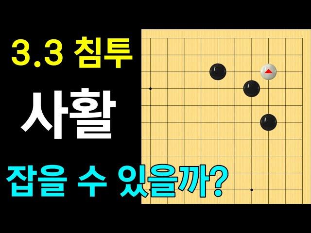 (다시 보는 실전행마 #6) 화점 양날일자 굳힘 - 삼삼침투 사활