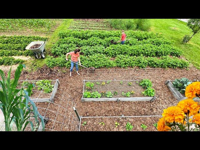 How to Keep Up a SUCCESSFUL GARDEN and Avoid Overwhelm