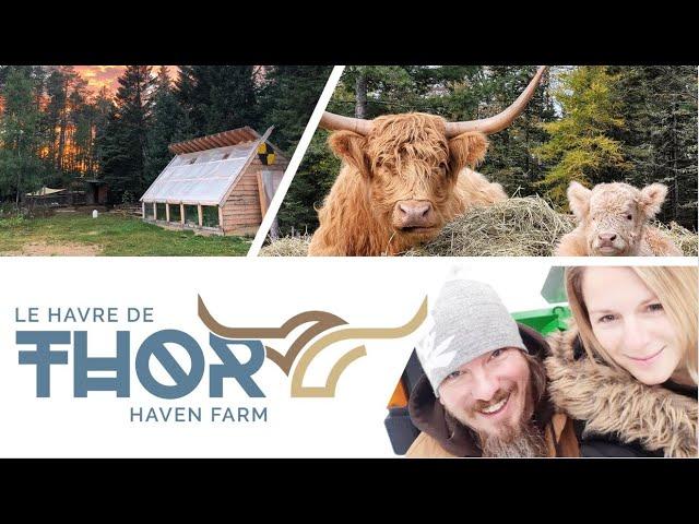 Welcome To Thor Haven Farm