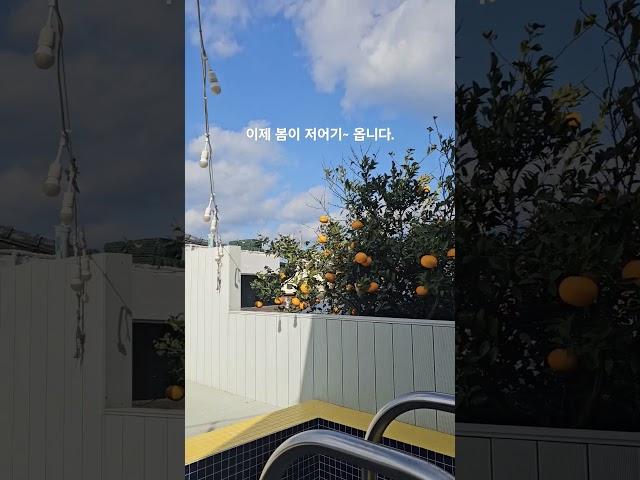 #자쿠지펜션#함덕펜션#제주삼각집