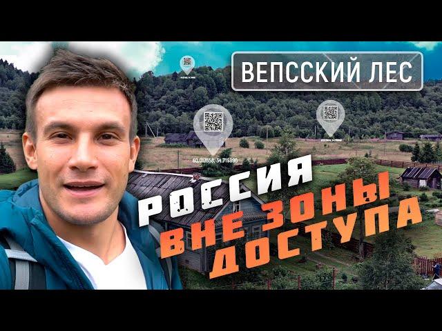 Вепсский лес. Россия вне зоны доступа @moyaplaneta