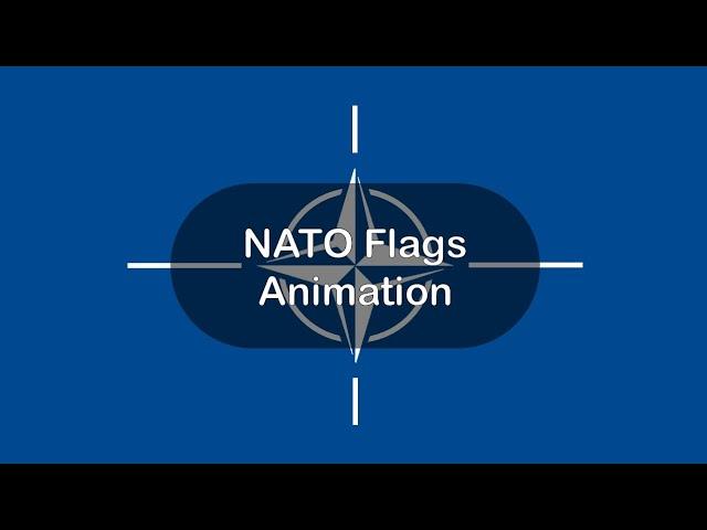 North Atlantic Treaty Organization Flags Animation