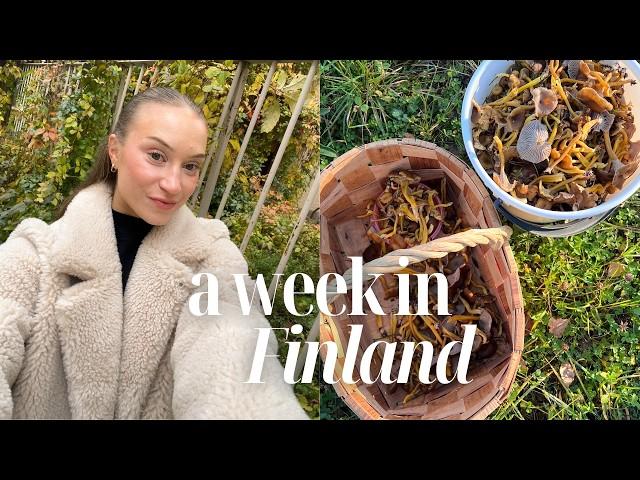 Life in Helsinki vlog: a week living in Finland with mushroom picking