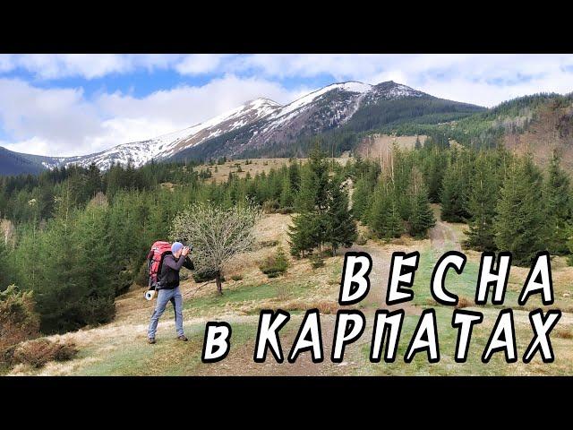 Весна в Карпатах