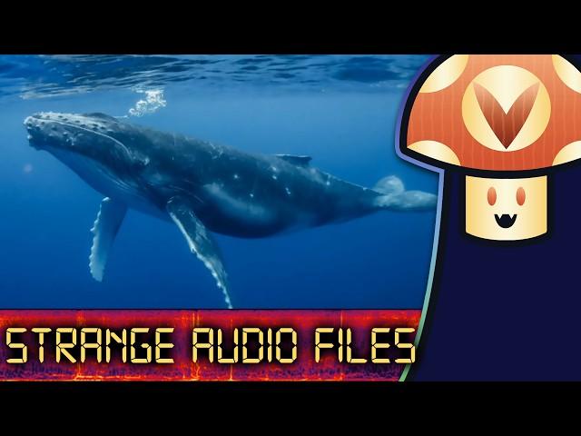 Vinny listens to Strange Audio Files from Space, Deep Sea & More