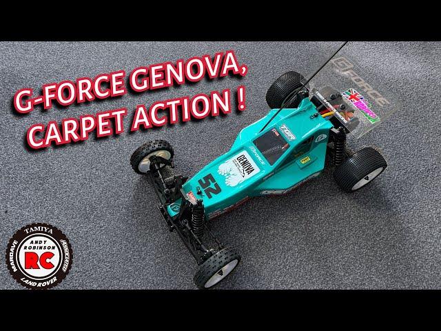 E229: G-Force Genova 2WD Buggy Raw Race Footage @ BAFRCCC