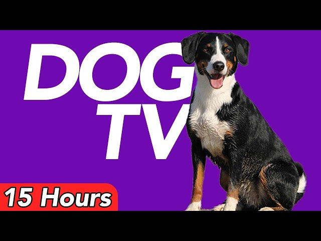 DOG TV - 15 Hours Virtual Adventure Video for Dogs - Petflix Video 