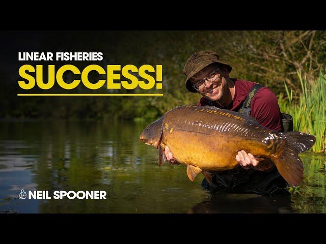 Neil Spooner targets LINEAR’S BIGGEST CARP!