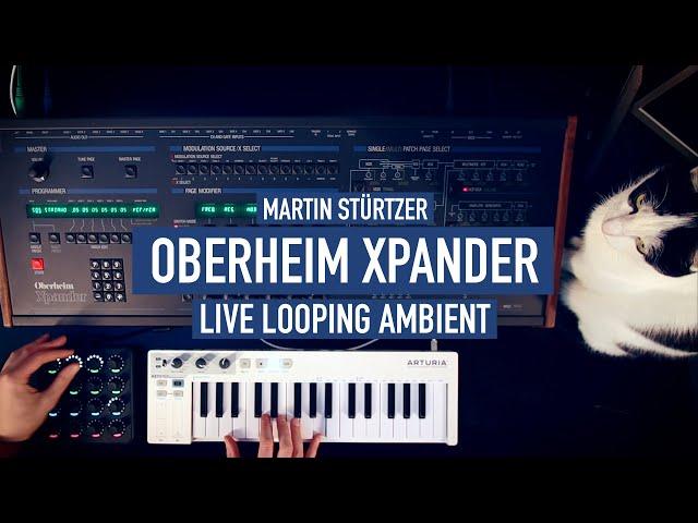 Oberheim Xpander Ambient Live Looping