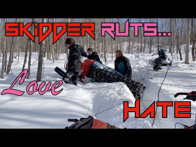 Tree Riding | Skidder Ruts | DEEP SNOW