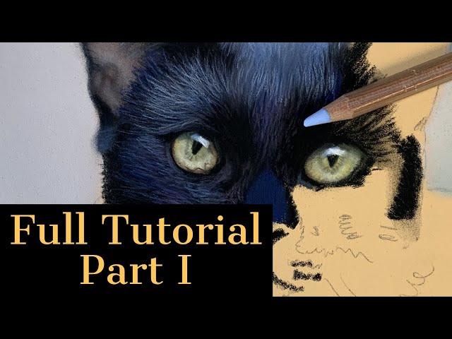 Full Pastel Drawing Tutorial Part 1 - How to Paint Black Fur and Cat Eyes