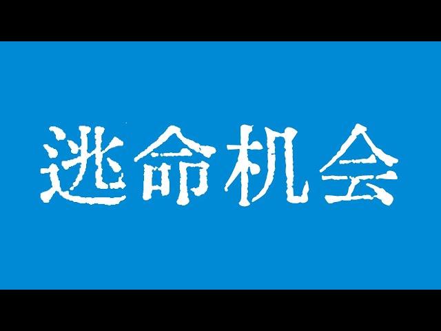 比特币最后的逃命机会！比特币行情大周期坚持看跌！比特币行情技术分析！BTC ETH USDT BNB SOL XRP DOGE ADA AVAX SHIB TON DOT BCH