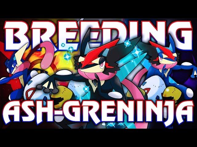 "BREEDING ASH-GRENINJA IN POKEMON SUN & MOON" - The ULTIMATE Ash-Greninja Breeding Theory w/ Hydros