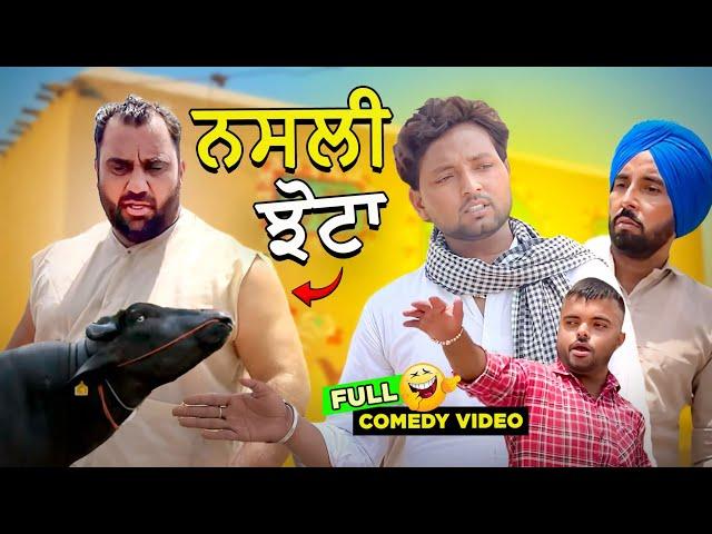 NASLI JHOTA (Full Comedy Video) Kaku Mehnian | Harpal Gill | Punjabi Funny Video 2024