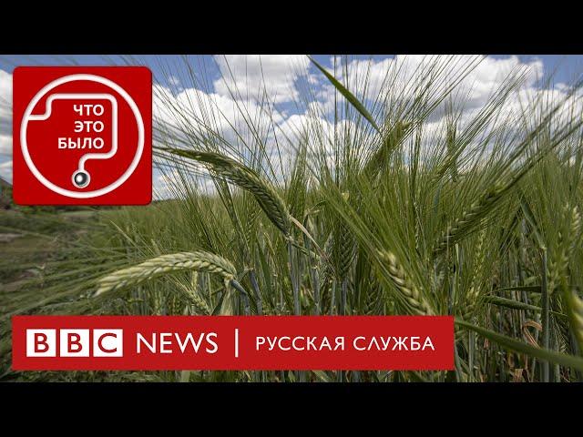 Кто и куда вывозит зерно из Украины? | Подкаст «Что это было?» | Война