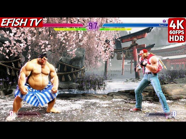 E. Honda vs Terry (Hardest AI) - Street Fighter 6