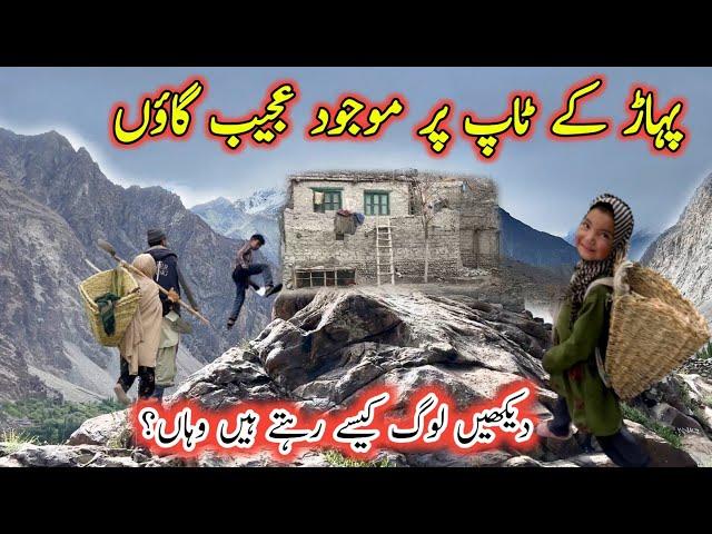 Most Beautiful Pakistani Village Life in Summer At The Top Of Mountain | Gilgit Baltistan |Pakistan