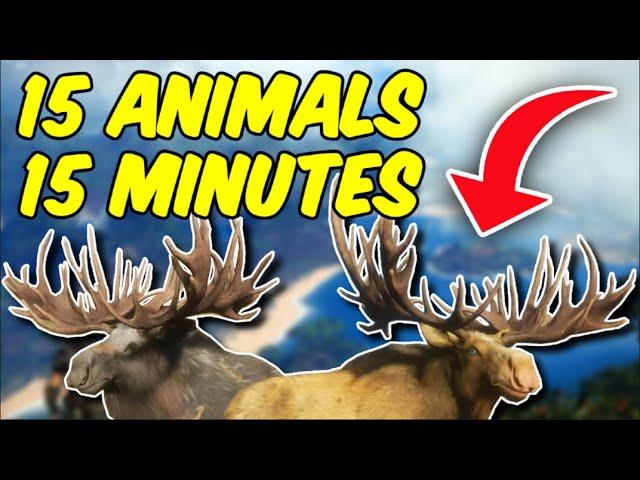 Find Animals FASTER With This Cheat Sheet! -  TheHunter: Call of the Wild 2023!