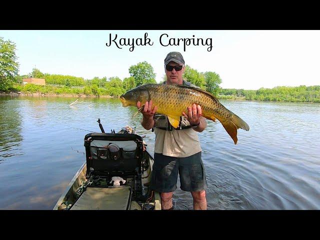 Kayak Carp Fishing for Wild River Carp