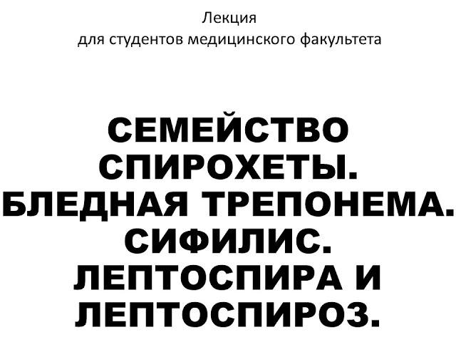 Семейство спирохеты. Бледная трепонема. Сифилис. Лептоспира и лептоспироз.