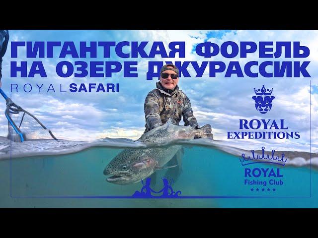 Аргентина с Royal Safari. Рыбалка на самую большую форель в мире!