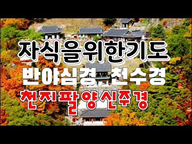 [독경 자식을위한기도] 반야심경, 천수경, 천지팔양신주경 연속 영인스님 매일기도하라 소원성취기도 자막있음 고요한새벽540 담화총사