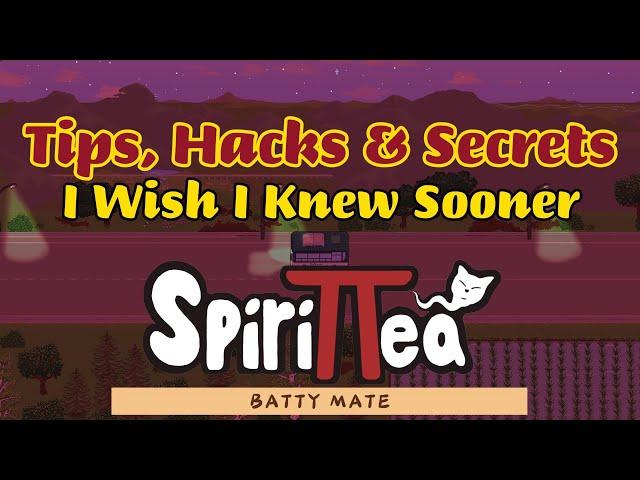 SpiriTTea  - Tips, Hacks & Secrets that I wish I knew Sooner