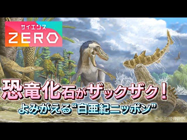 [サイエンスZERO] 恐竜化石がザックザク！“白亜紀ニッポン”がよみがえる | NHK