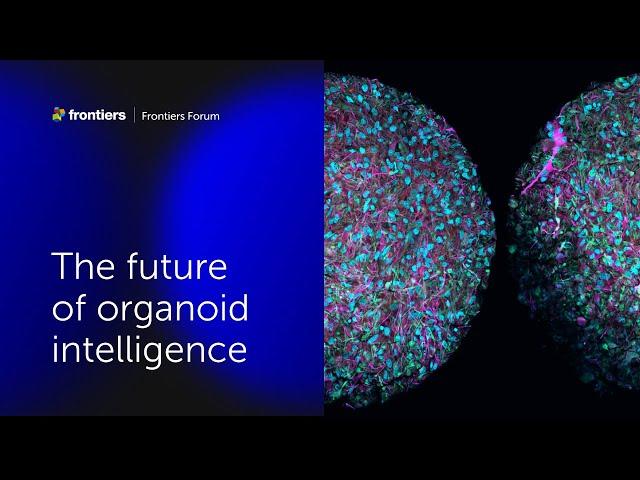 Thomas Hartung and colleagues | The future of organoid intelligence | Frontiers Forum Deep Dive 2023