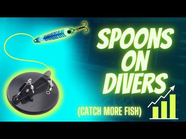 DISPY DIVERS WITH SPOONS = MORE FISH