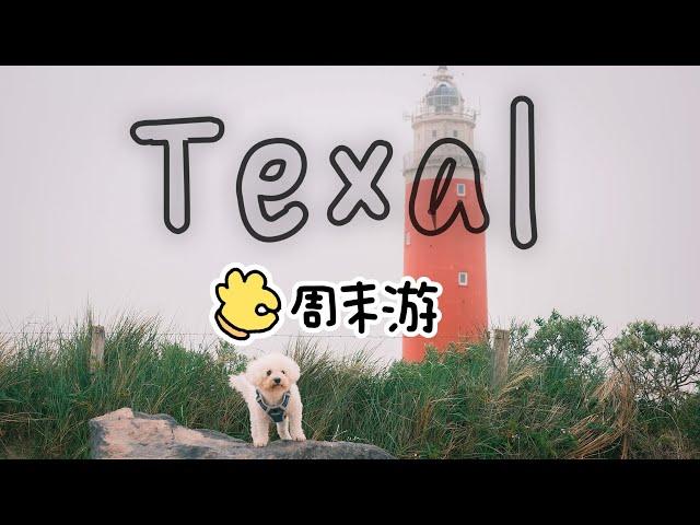 荷兰｜Texel 小岛周末游