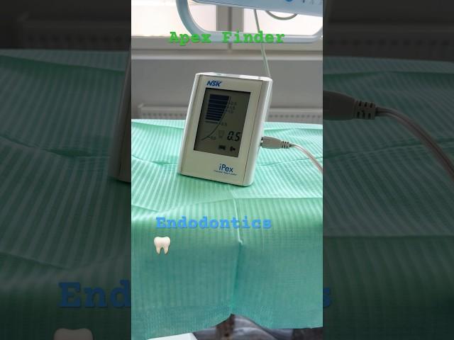 Odontometry in Endodontics #apexlocator #iPex #NSK #rootcanaltreatment