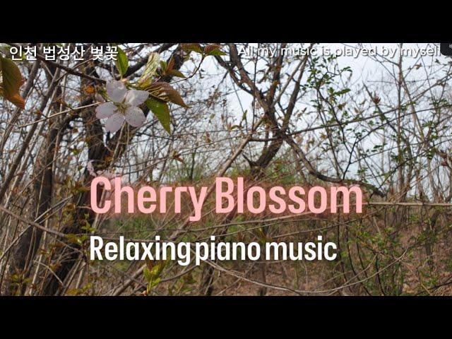 1 Hour ) 아름다운 하루를 위한 클래식 피아노  Soft relaxing classical piano music