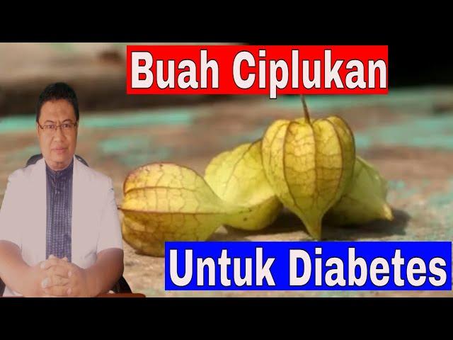 Apakah penderita diabetes boleh makan buah ciplukan ?