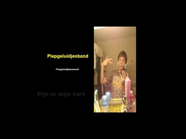 Piepgeluidjesrommel (2010) - Volledig album