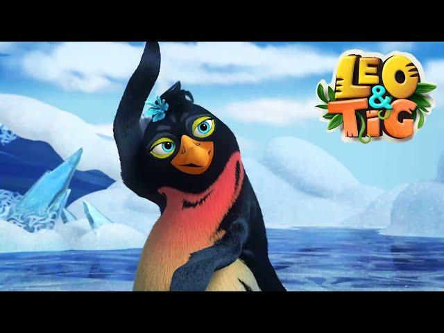 LEO and TIG   NEW  The Ice Ball  10 episodes in a row  Moolt Kids Toons Happy Bear