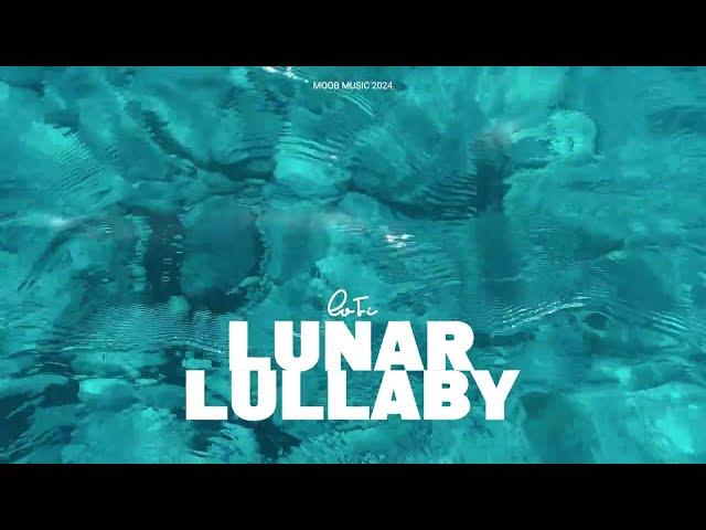 Playlist l  LoFi [Lunar Lullaby]