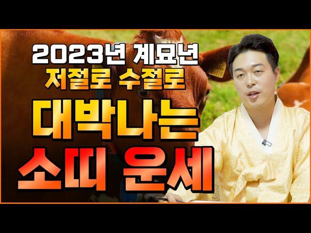 2023년 저절로 수절로 부자가 되고 대박나는 소띠운세 2023년 대박나는띠 '소띠운세'  61년생 73년생 85년생 97년생 운세/ 62세 50세 38세 26세 소띠 운세