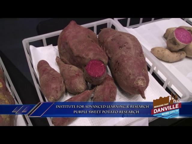 River City TV - The Science Behind Purple Sweet Potatoes